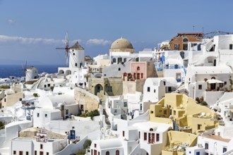 White and colourfully painted holiday homes on a steep slope, windmills, view of Oia, Thira,