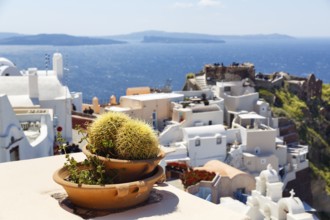 Flower pot, ball cactus in a bowl, view down to white holiday homes and the castle of Agios