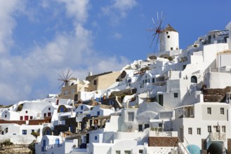 Whitewashed holiday homes, two windmills on the hillside, Cumulus, Oia, Thira, Santorini, Cyclades,