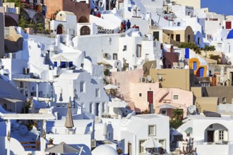 White and colourfully painted holiday homes on a steep slope, narrow alleys, Oia, Thira, Santorini,