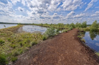A drained peat path leads through the water areas in the Himmelmoor. Himmelmoor, the largest raised