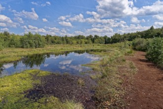 Water surface and a drained peat path in the Himmelmoor. Himmelmoor, the largest raised bog in