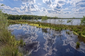 Clouds are reflected in the water surface of the Himmelmoor. Himmelmoor, the largest raised bog in