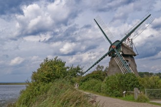 The Charlotte mill, a Dutch windmill, on the Geltinger Birk. Gelting, Schleswig-Holstein, Germany