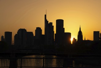 Summer and heat in Frankfurt am Main (Hesse, Germany), Frankfurt am Main, Hesse, Germany