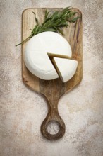 Head of Georgian cheese, Imereti variety, top view, on a cutting board