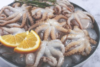 Fresh baby octopuses on ice, garnished with lemon and rosemary, on a marble table, no people