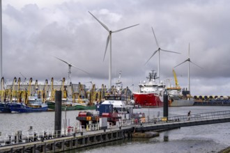 Working vessels in the seaport of Eemshaven, dredger Vitus Bering, aft, cable laying and offshore