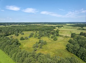Landscape of the Störkathen Heath, nature reserve heathland near Kellinghusen, near Störkathen.