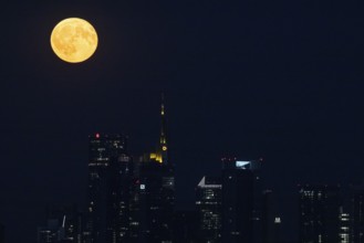 The full moon passes over the Frankfurt banking skyline, Frankfurt am Main, Hesse, Germany