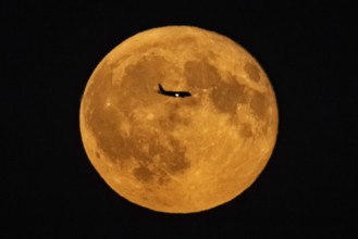 The silhouette of an aeroplane stands out against the full moon, Frankfurt am Main, Hesse, Germany