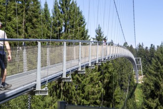 Wildline Bad Wildbad: The pedestrian suspension bridge is 380 metres long and 60 metres high. It