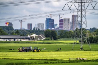 The skyline of the business district in the south-east of Amsterdam, office tower blocks, green