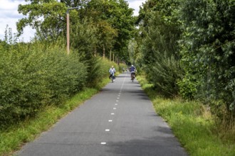 Cycle path to, from the university campus in Utrecht Science Park, Utrecht University,