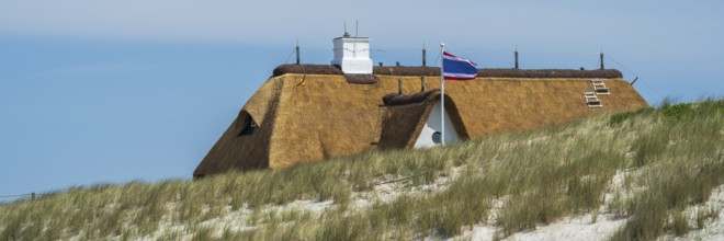 Thatched roof behind the dune, panorama format, Kampen, Sylt, North Frisia, Schleswig-Holstein,