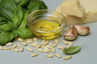 Ingredients for basil pesto, pesto alla genovese