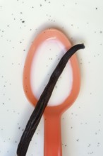 Spoon with vanilla pod, vanilla seeds in milk