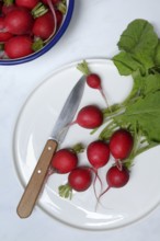 Radish with knife on plate, Raphanus sativus var. sativus