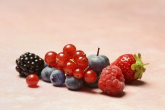 Various fruits, redcurrant, strawberry, blueberry, blackberry, raspberry