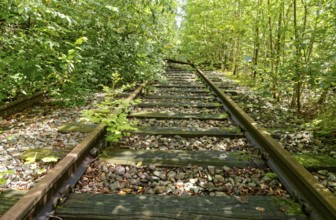 Rusty, overgrown tracks at the former Blumendorf railway station. Bad Oldesloe, Schleswig-Holstein,