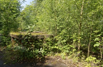 Remains of a railway platform, overgrown with moss and plants, at the former Blumendorf railway