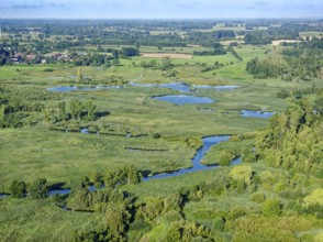 Water surfaces of the Trave and vegetation in the Brenner Moor. Aerial view. The Brenner Moor is a