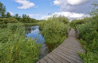 Footpath and bridge on the River Trave in Brenner Moor. The Brenner Moor is a salt moor, FFH area,