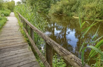 Footpath with wooden railings along the River Trave in Brenner Moor. The Brenner Moor is a salt
