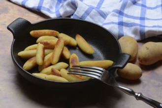 Fried puff noodles in a pan, Germany