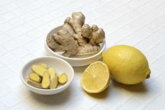 Ginger, ginger tubers and ginger slices in peel, lemon