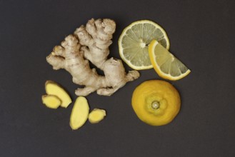 Ginger and sliced lemon, Zingiber officinale