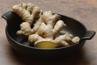 Ginger, ginger root in pot