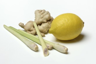 Ginger, ginger root and lemongrass, lemon