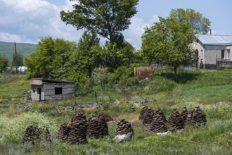 Rural landscape with manure piles, cottage and lush vegetation under slightly cloudy sky, manure