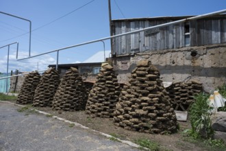 Stacked dried cow bricks in front of a wooden house under blue sky, near Sewan, Gegharkunik