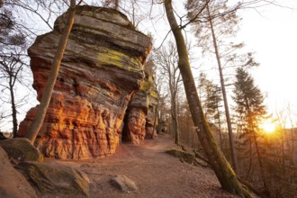 Glowing rocks in warm evening light in spring at Altschloßfelsen in der Pfalz, Germany