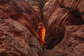 Evening rock glowing in spring at Altschloßfelsen in Eppenbrunn Palatinate, Germany