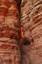 Evening rock glowing in spring at Altschloßfelsen in Eppenbrunn Palatinate, Germany