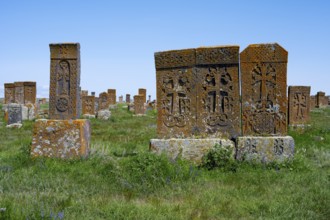 Tombstones with complex designs and orange weathering in a meadow, crossstones, khachkars, world's