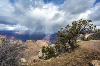 Light winter storm weather over The Grand Canyon in northern Arizona