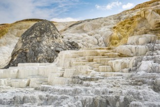 180822_132 Terraced travertine expelled from Palette Spring over time in the Mammoth Hot Springs