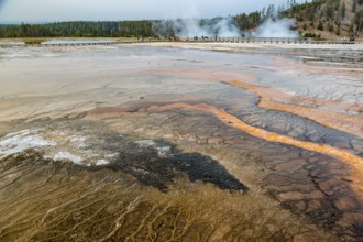 180819_371 Brown layered stratiform mats at the outer perimeter of the Grand Prismatic Spring in