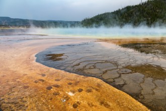 180819_369 Grand Prismatic Spring in the Midway Geyser Basin of Yellowstone National Park, Wyoming