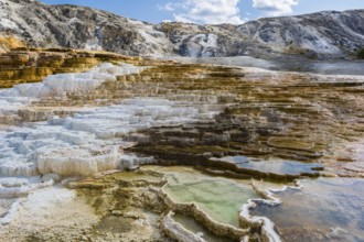 180822_212 Close up details of the travertine rock of Mound Spring in the Mammoth Hot Springs area