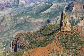 190601_130 North Rim of the Grand Canyon in Northern Arizona, USA