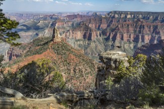 190601_152 North Rim of the Grand Canyon in Northern Arizona, USA