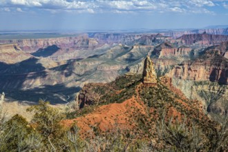 190601_123 North Rim of the Grand Canyon in Northern Arizona, USA