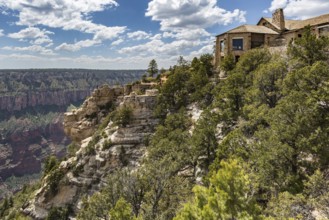 190601_109 North Rim of the Grand Canyon in Northern Arizona, USA