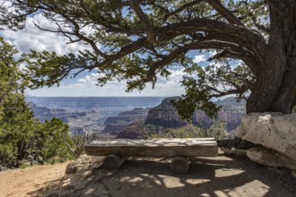 190601_102 North Rim of the Grand Canyon in Northern Arizona, USA