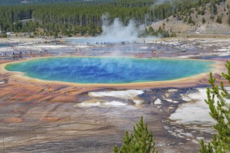 180823_038 Park visitors on observation boardwalk get close up view of the Grand Prismatic Spring